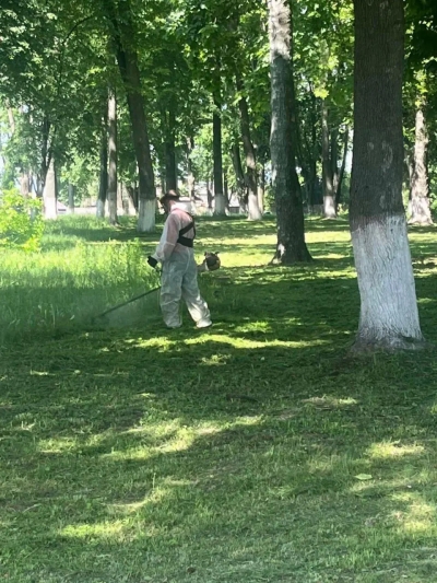 В Быховском районе продолжается наведение порядка на земле. ФОТО