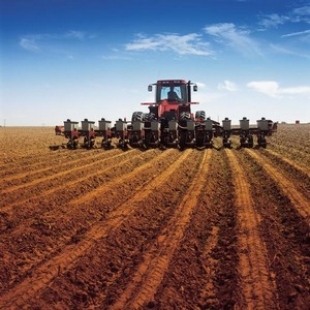 Количество убыточных сельхозпредприятий в Беларуси за 2016 год снизилось на 34%