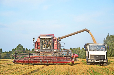 Помощь быховским аграриям в своевременной уборке зерновых оказало ОАО «Заднепровский межрайагросервис»