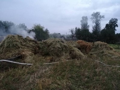 В Быховском районе горело сено
