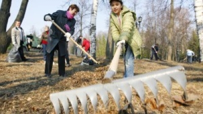 На Быховщине проходит месячник по санитарной очистке и уборке территорий населенных пунктов