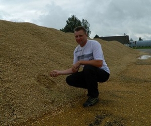 На зернотоке ОАО «Обидовичи» стараются сберечь каждое зернышко нового урожая
