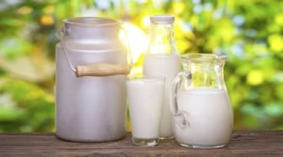 В хозяйствах Быховского района наметилась положительная динамика по валовому производству молока